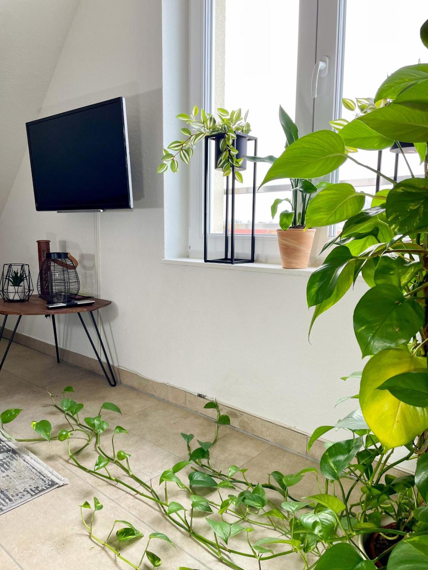 Ahaus: Stadtoase Mit Terrasse & Privater Garage المظهر الخارجي الصورة